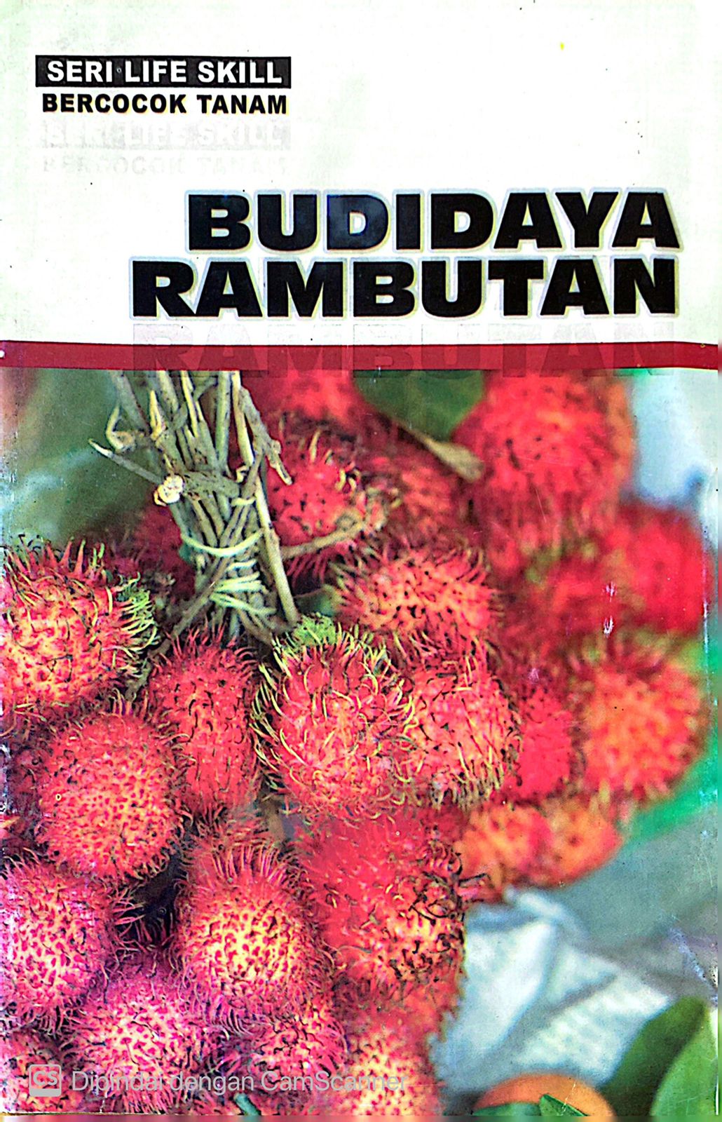 Cover Budidaya Rambutan