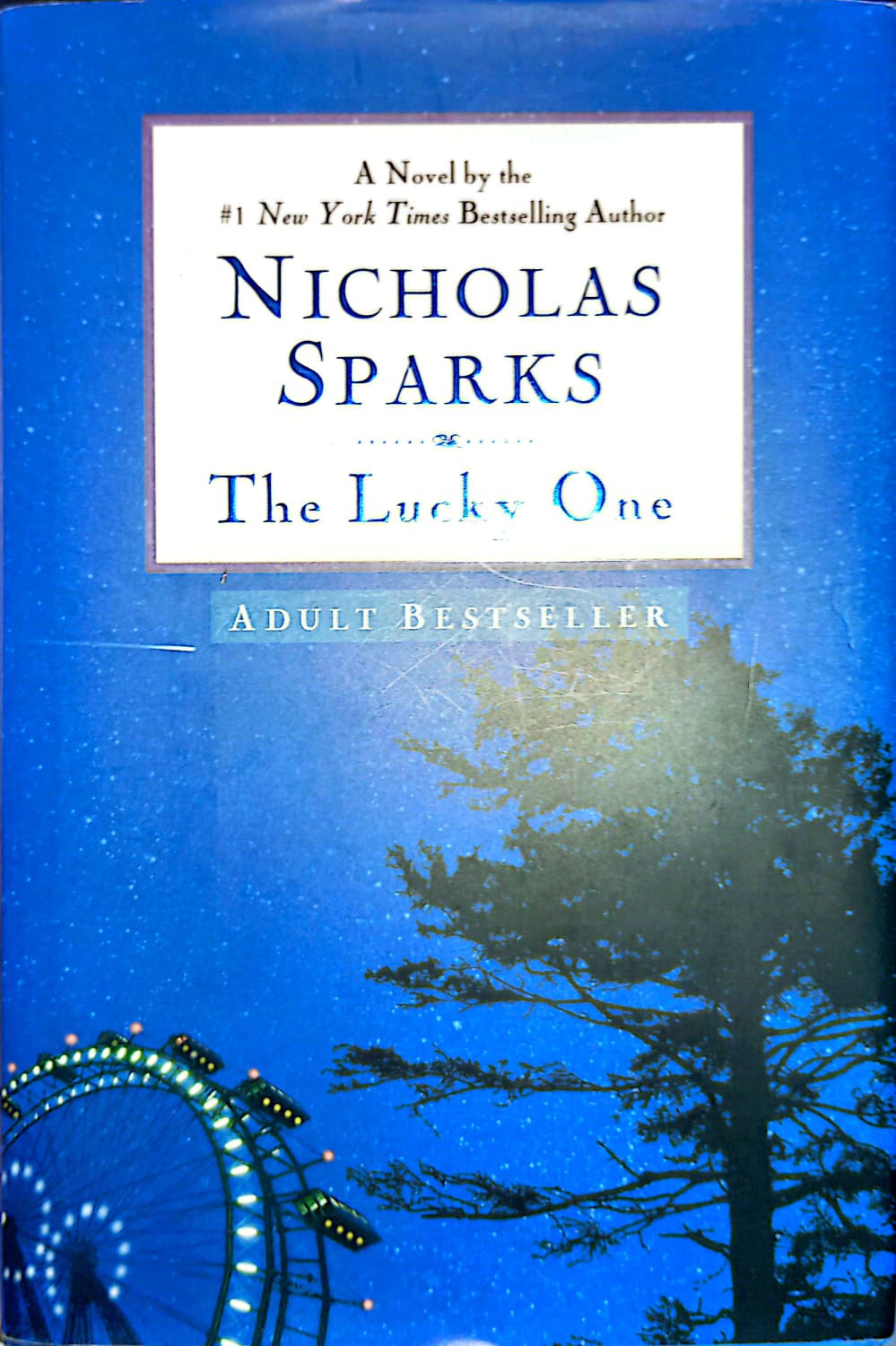 Cover Nicholas Sparks The Lucky One